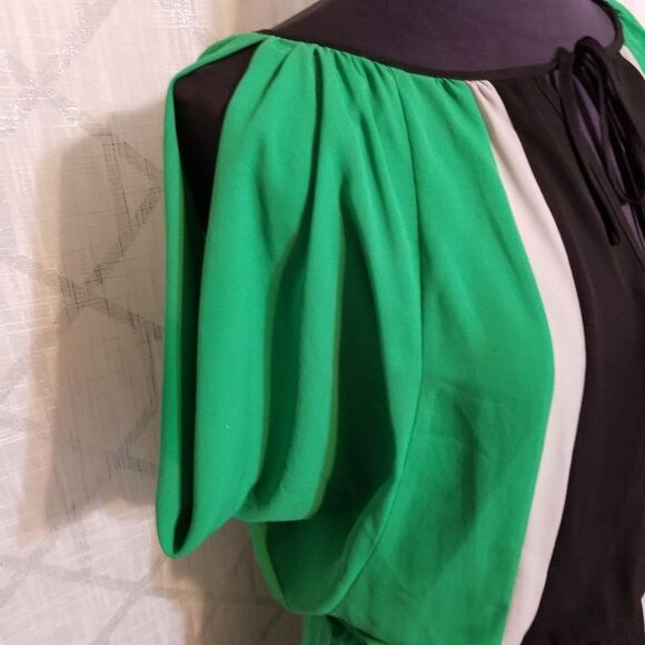 BCBGMaxazria Dress Womrns Small Green Black Chiffon Color Block - Picture 5 of 10